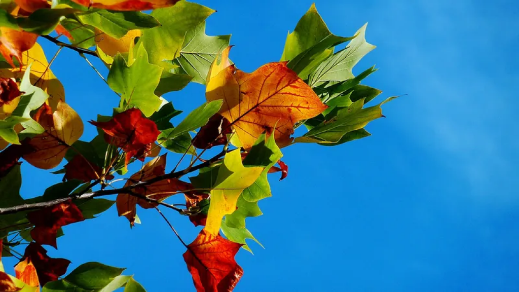 Осень-2025 в Казахстане: где ждать тепла, где холода и когда пойдут дожди