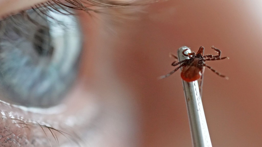 Кто может получить прививку от клещевого энцефалита в Карагандинской области