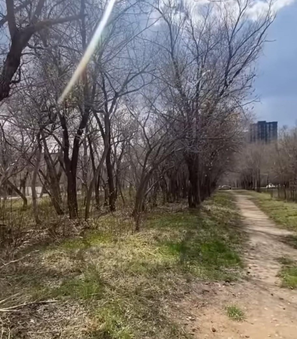 Қарағанды қаласының орталығындағы екі жасыл учаскеде құрылыс болмайды-әкімдік