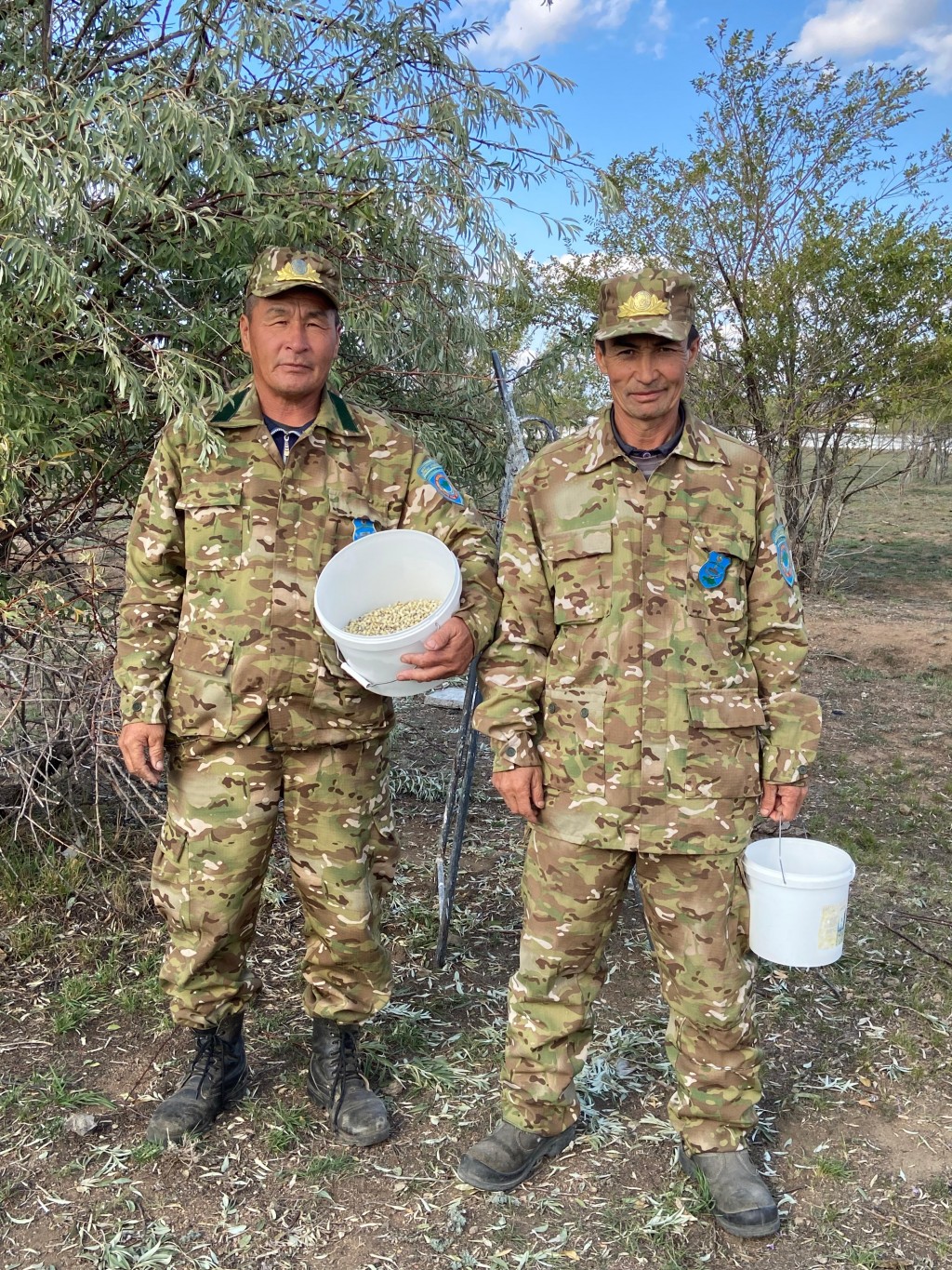 В Карагандинской области лесники начали сбор осенних семян