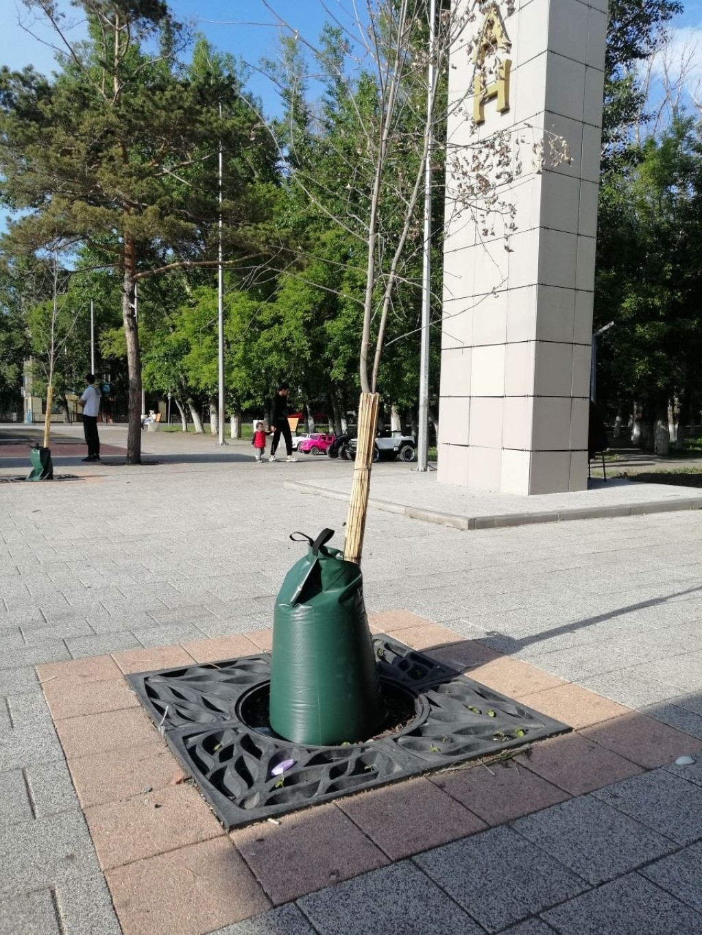 Из сквера в Караганде украли систему капельного полива для деревьев