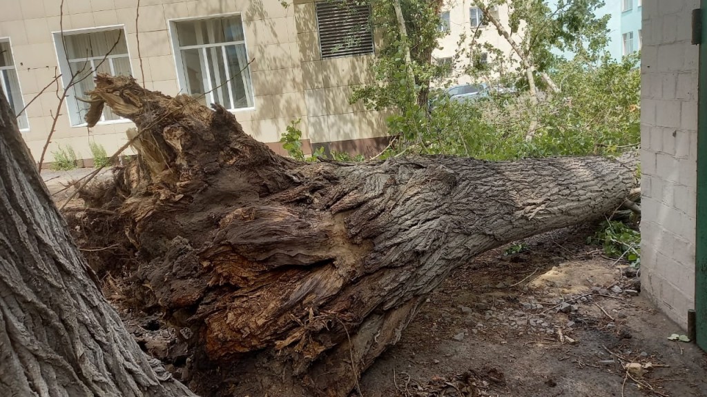 Последствия ураганного ветра в Караганде