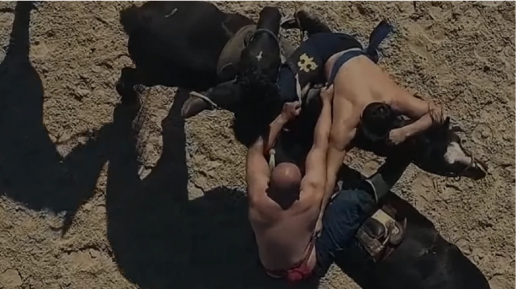 Сколько будут стоить билеты на Всемирные игры кочевников