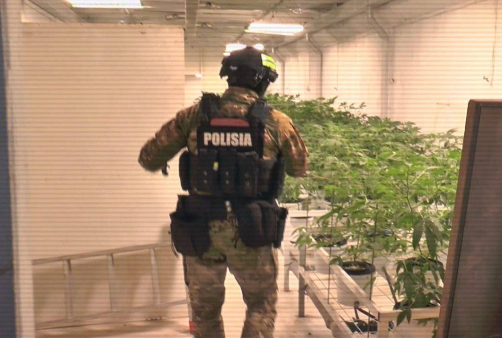 ІІМ: екі айда 900-ден астам есірткі құқық бұзушылық анықталды