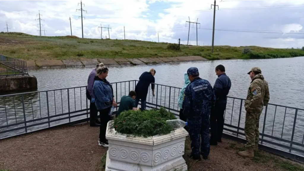 Гибель рыбы на канале Сатпаева: инспекторы организовали проверку
