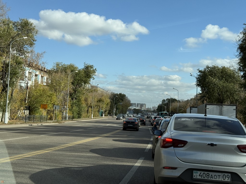 «Проверьте документы, не откладывая». В МВД обратились к казахстанским автомобилистам