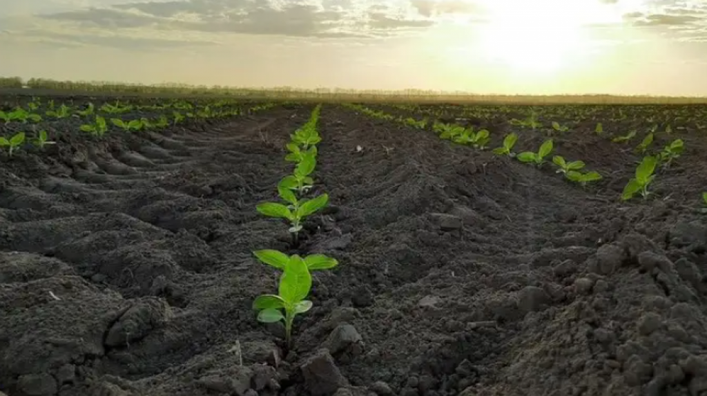 В Казахстане будет разработана цифровая карта с отражением содержания углерода в почвах