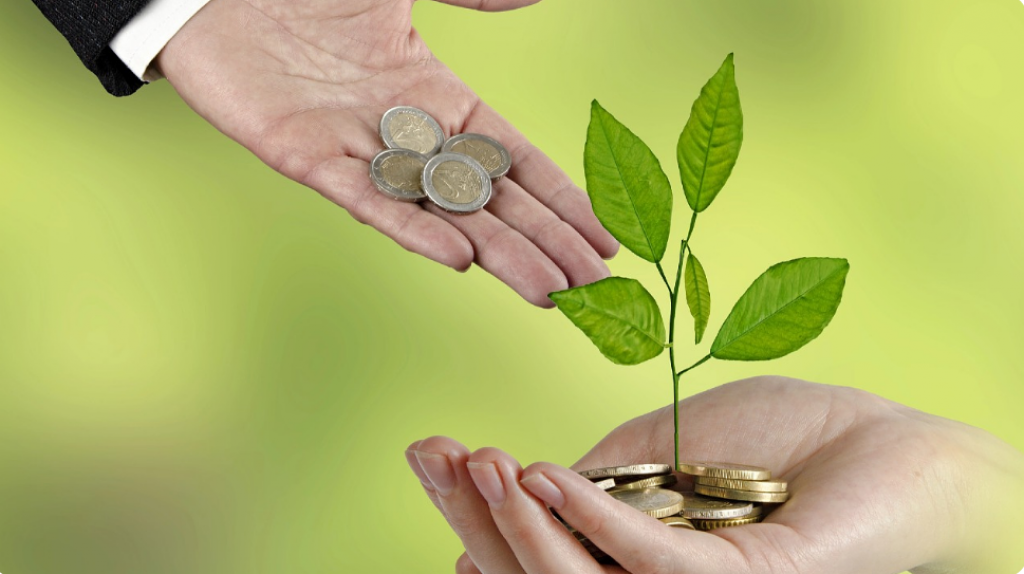 Полтора миллиона тенге на своё дело: когда можно подать заявку на получение бизнес-гранта