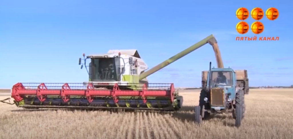 Отечественные фермеры на грани разорения из-за обвала цен на зерно