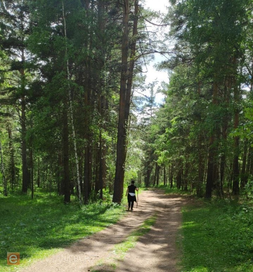Природно-медицинские кластеры появятся в Казахстане