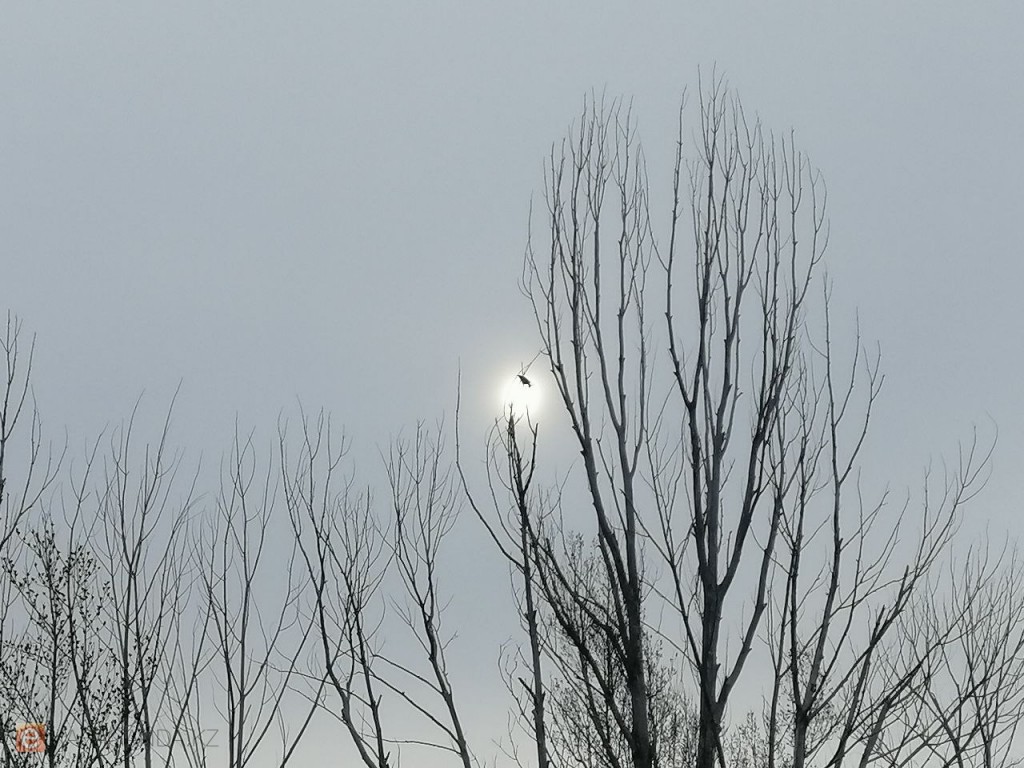 Жаңбыр мен желдің күшеюі: Қарағандыда 10 сәуірге арналған ауа райы болжамы