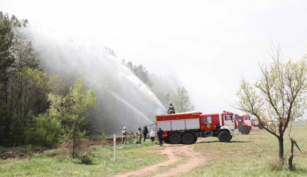 Шесть новых лесных пожарных станций построят в Карагандинской области в 2025 году