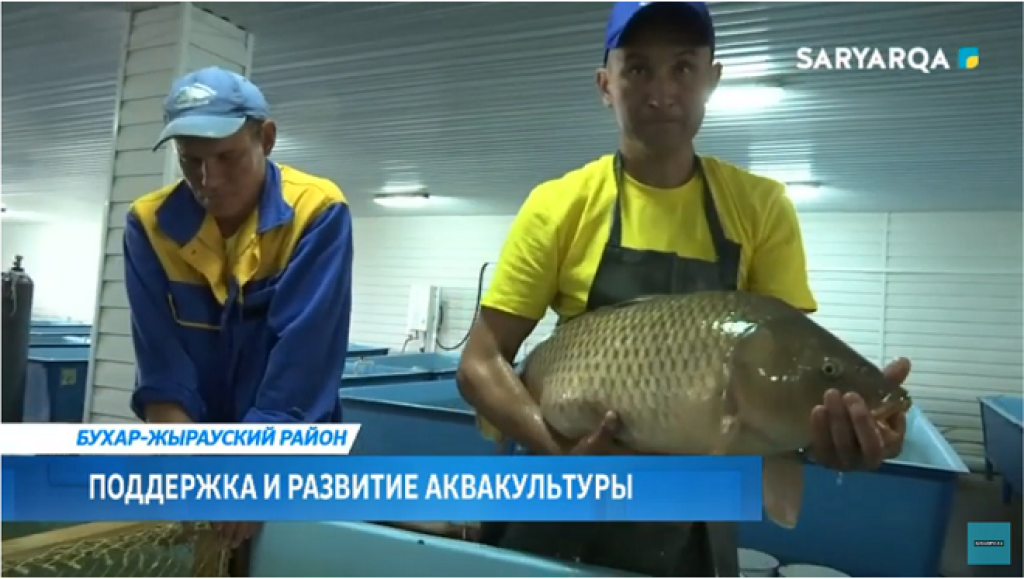 Поддержка и развитие аквакультуры активно проводится в Карагандинской области