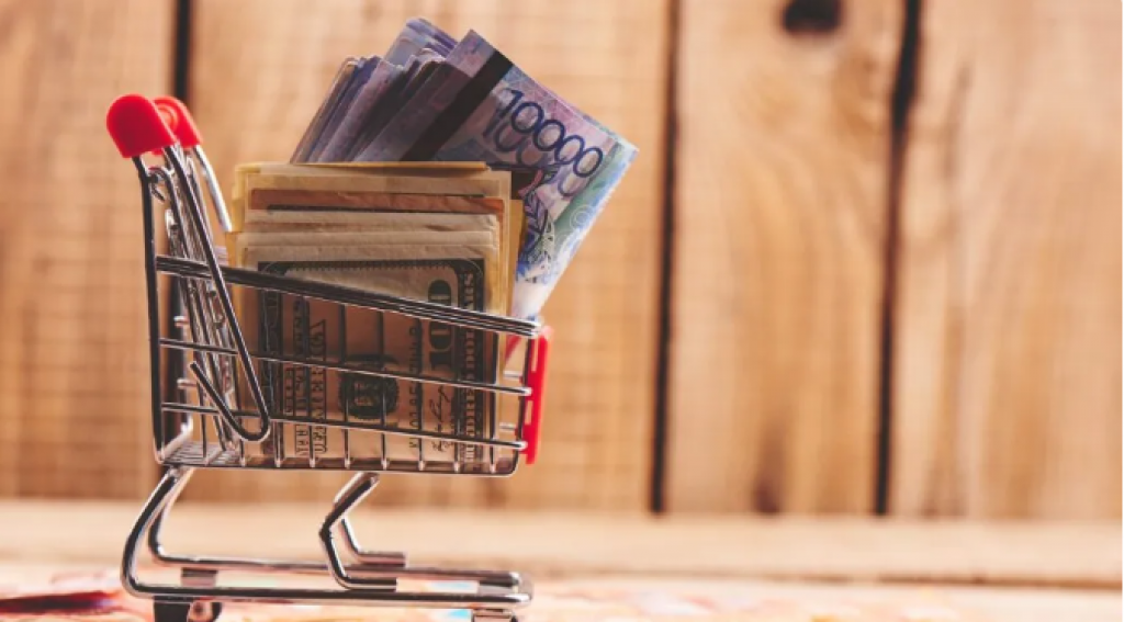 Госбюджет в 2024 году изъял шестую часть активов Нацфонда