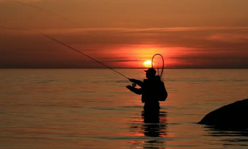 Путевки рыбакам и охотникам будут выдавать по новым правилам