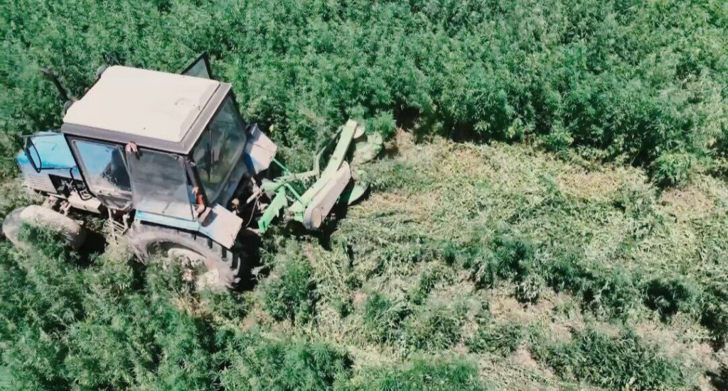 С начала проведения спецоперации «Қарасора» полицейские изъяли почти 13 тонн наркотиков