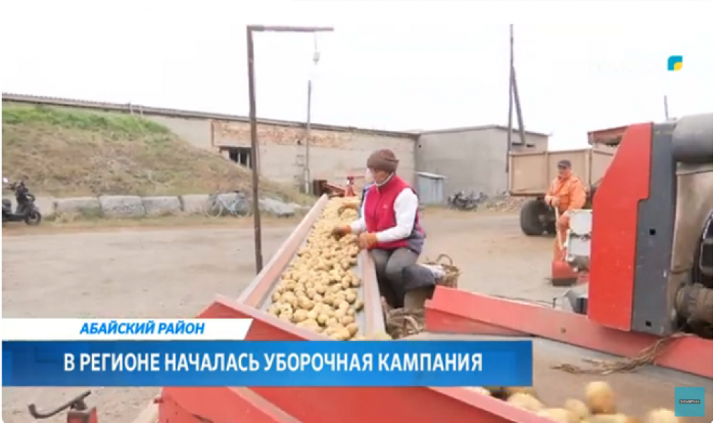 Қарағанды облысында егін жинау науқаны басталды