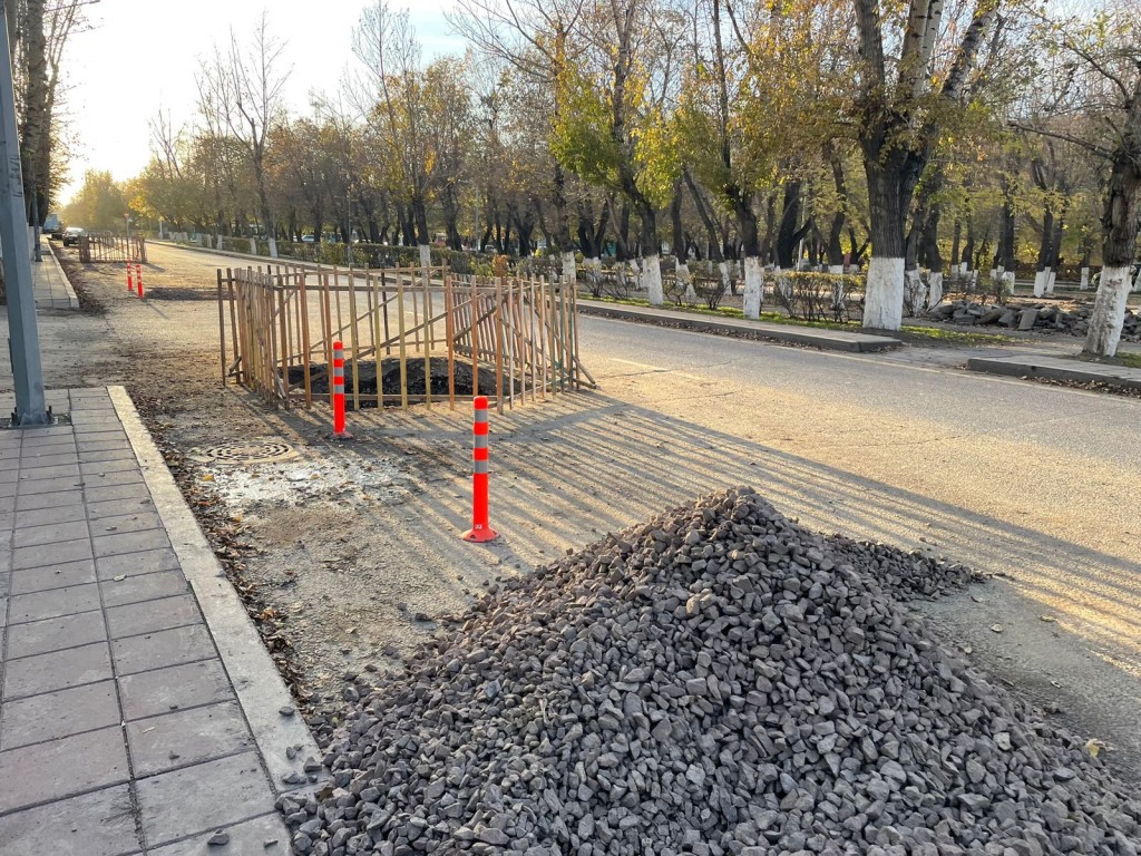 Газон и автополив появится на одной из центральных улиц Караганды в следующем году