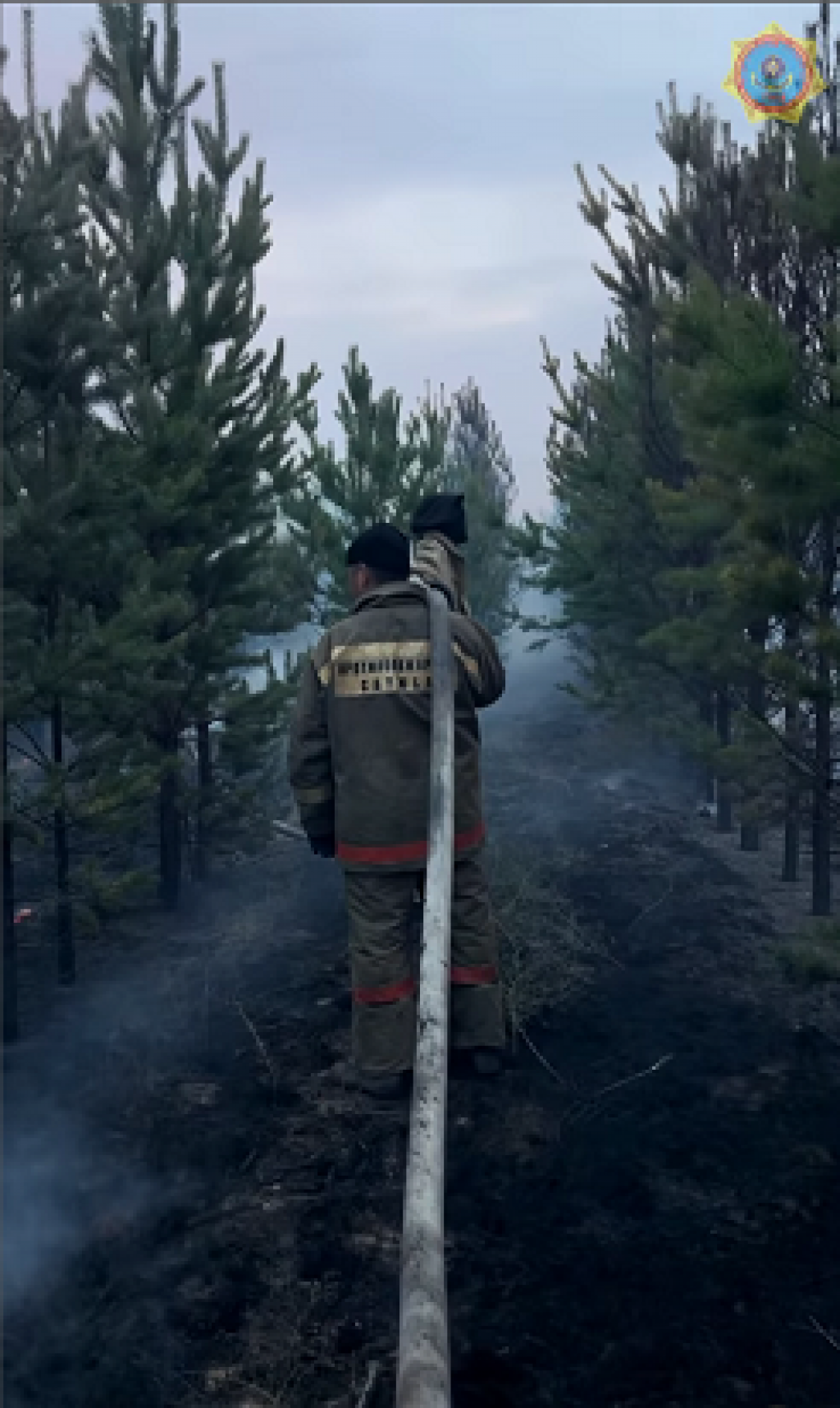 Карагандинские пожарные принимали участие в ликвидации лесного пожара в Павлодарской области