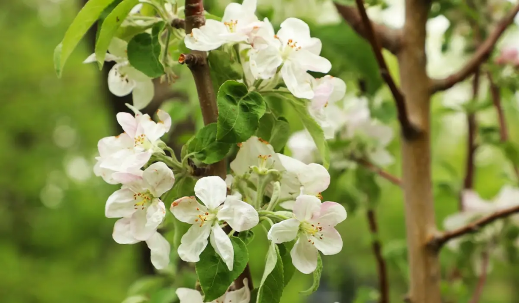 Какой будет погода в мае в Казахстане, рассказали синоптики