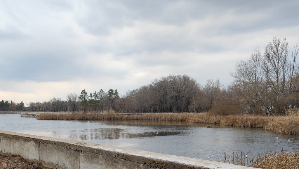 Карагандинцам запретили вылавливать мальков из озера Центрального парка