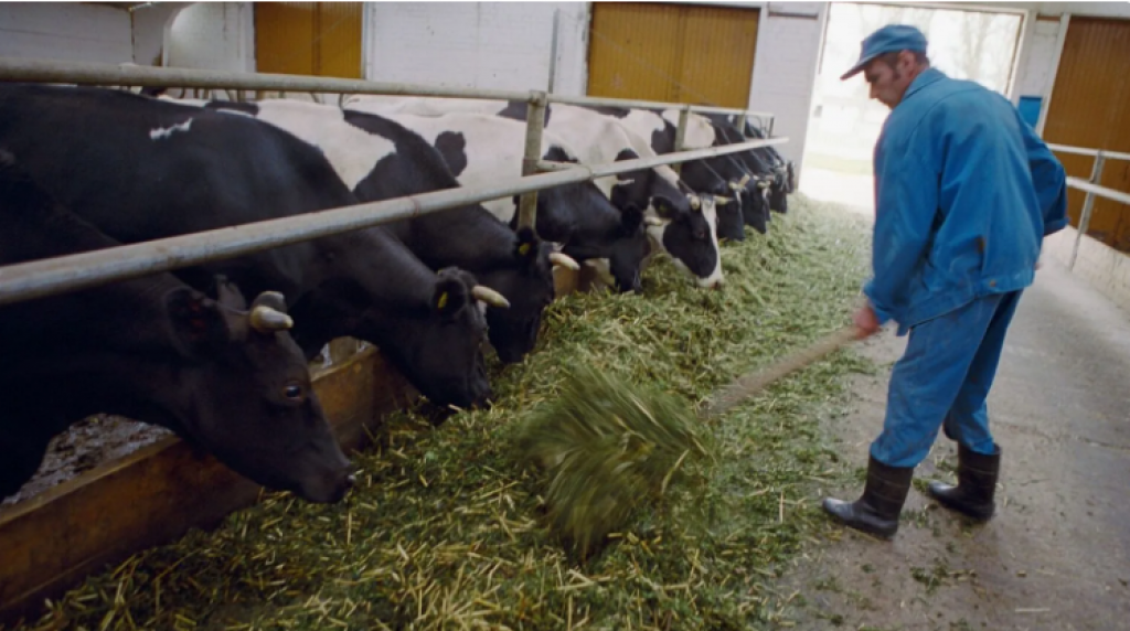 В Казахстане изменены правила возмещения ущерба в сфере сельского хозяйства