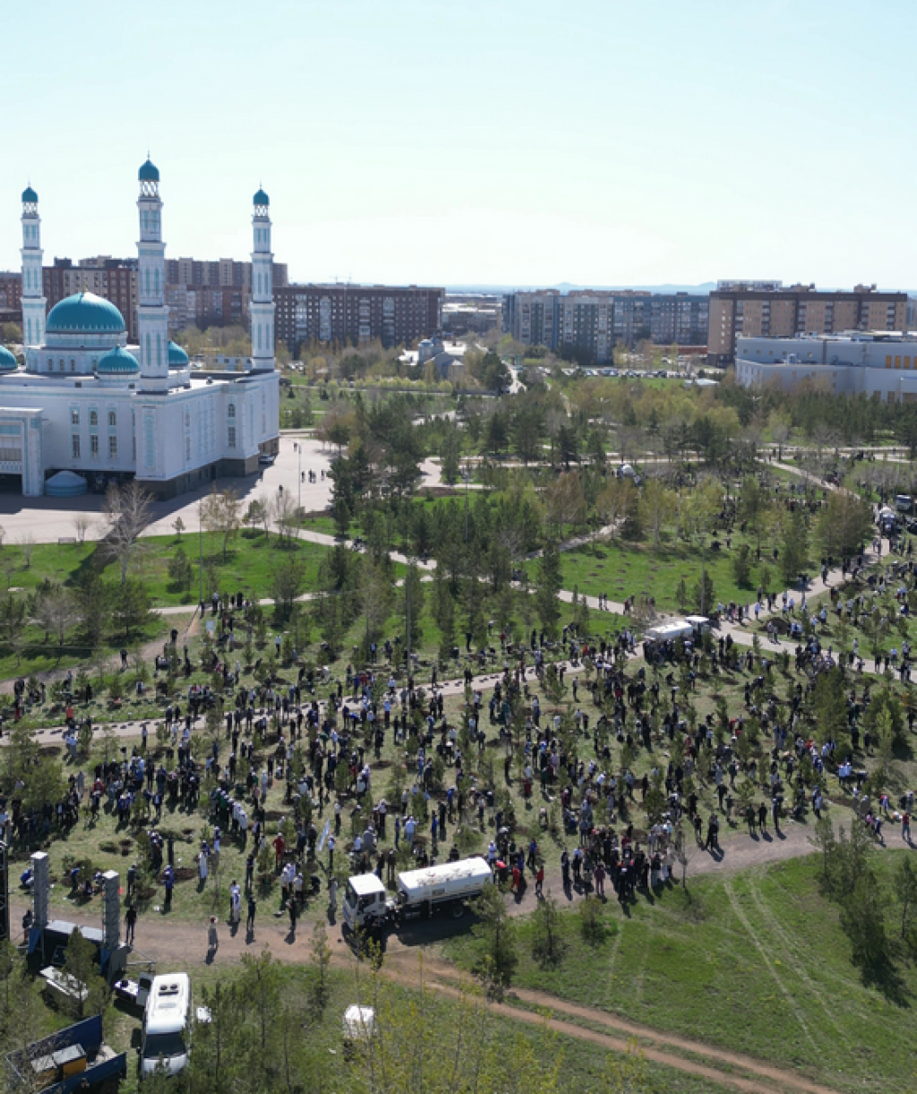 Караганда зеленеет: тысячи деревьев высадили в рамках акции «Таза Қазақстан»