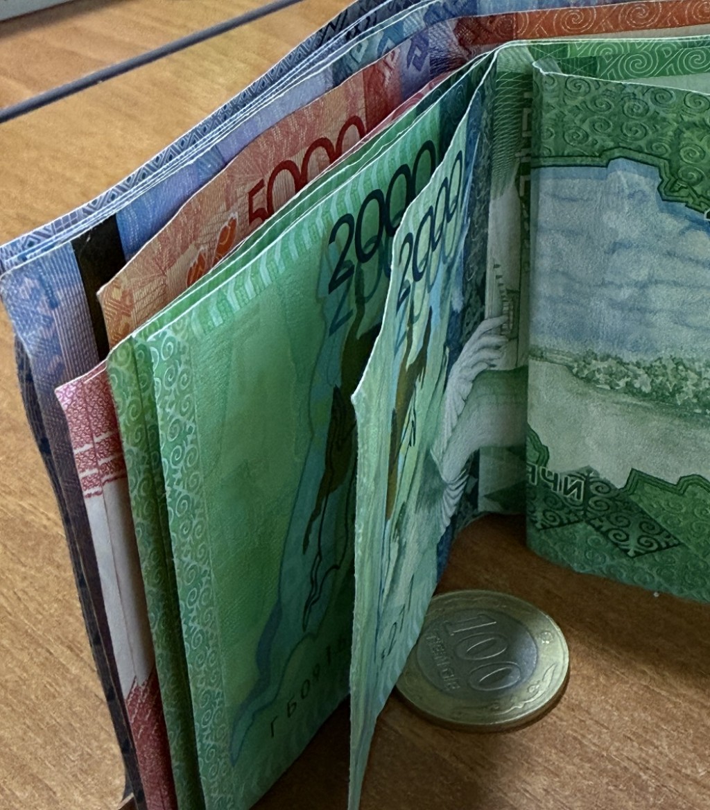 Названы размеры пособий по инвалидности и потере кормильца в Казахстане