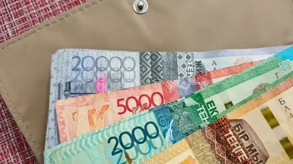 Какие пособия и соцвыплаты положены казахстанцам по инвалидности и потере кормильца