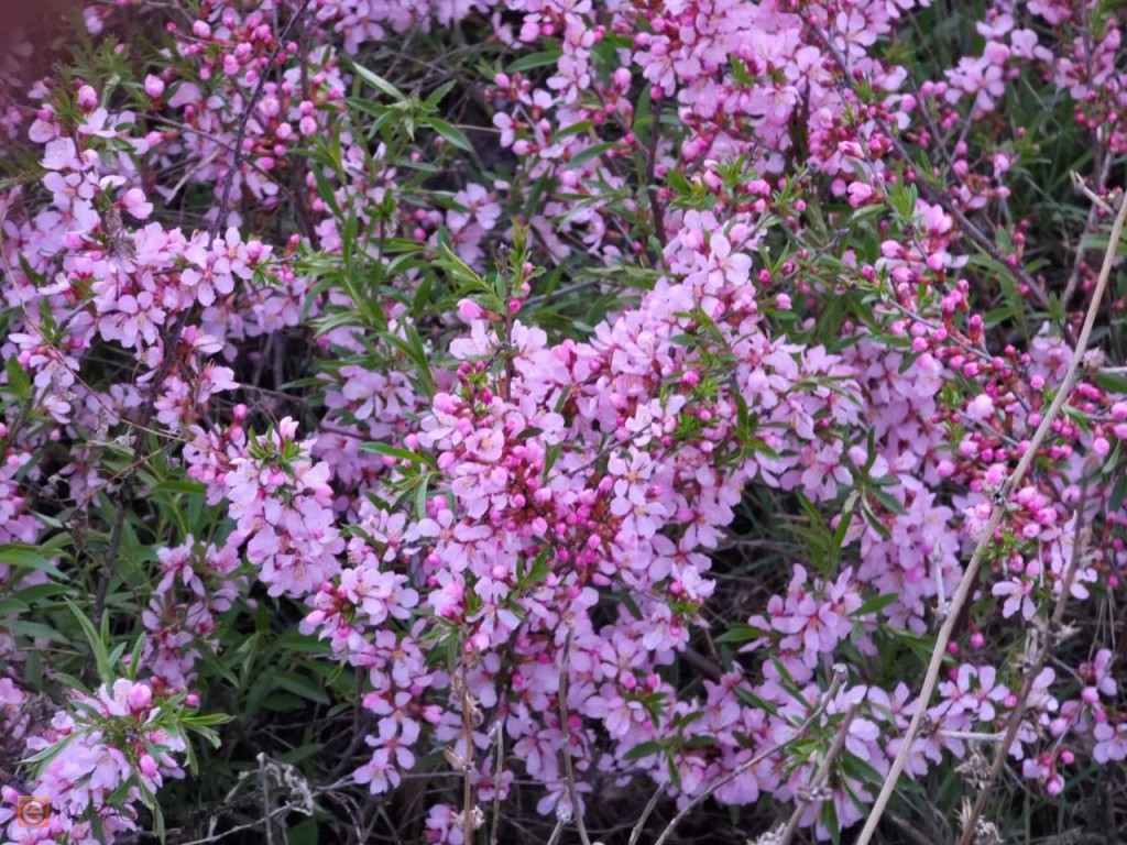 После похолодания — к теплу: какая погода ждёт Караганду и область 28 апреля