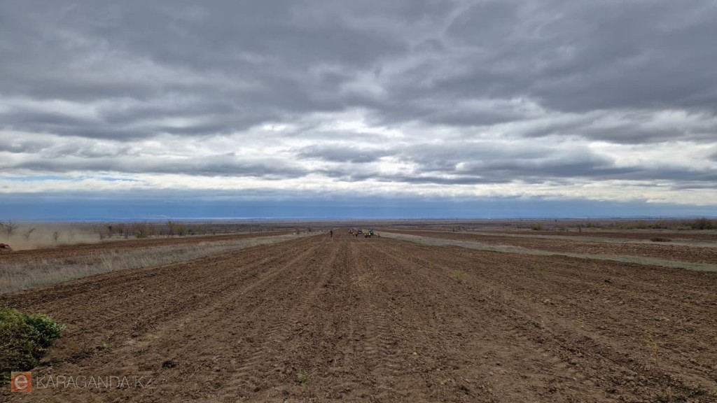 6,2 млн гектаров сельхозземель передано добросовестным землепользователям