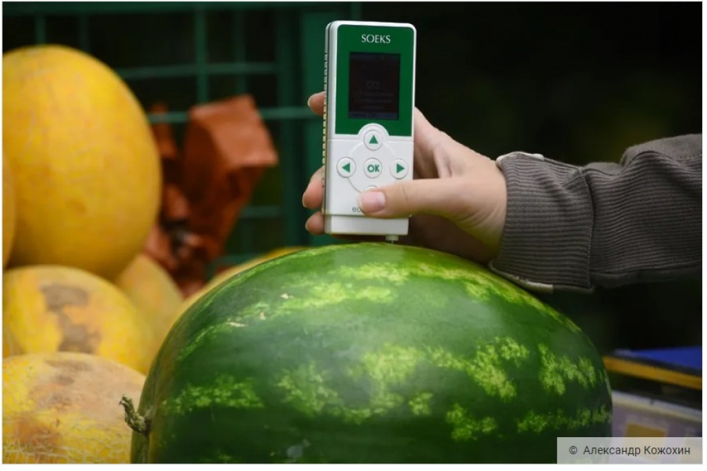 Овощи и фрукты на наличие нитратов проверяли на рынке в Караганде