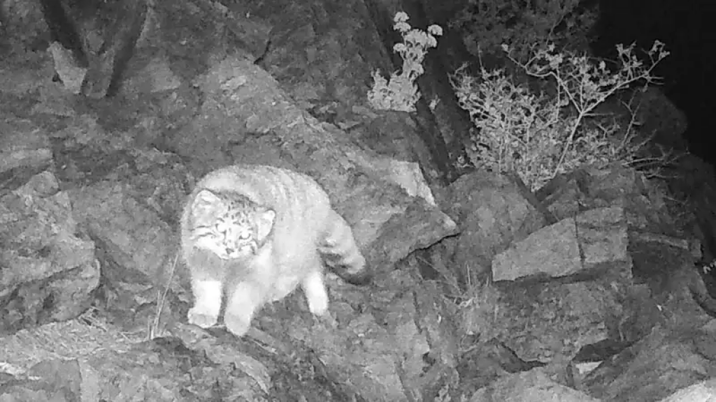 Ұйықтап жатқан адамдармен бірінші адамның порносы