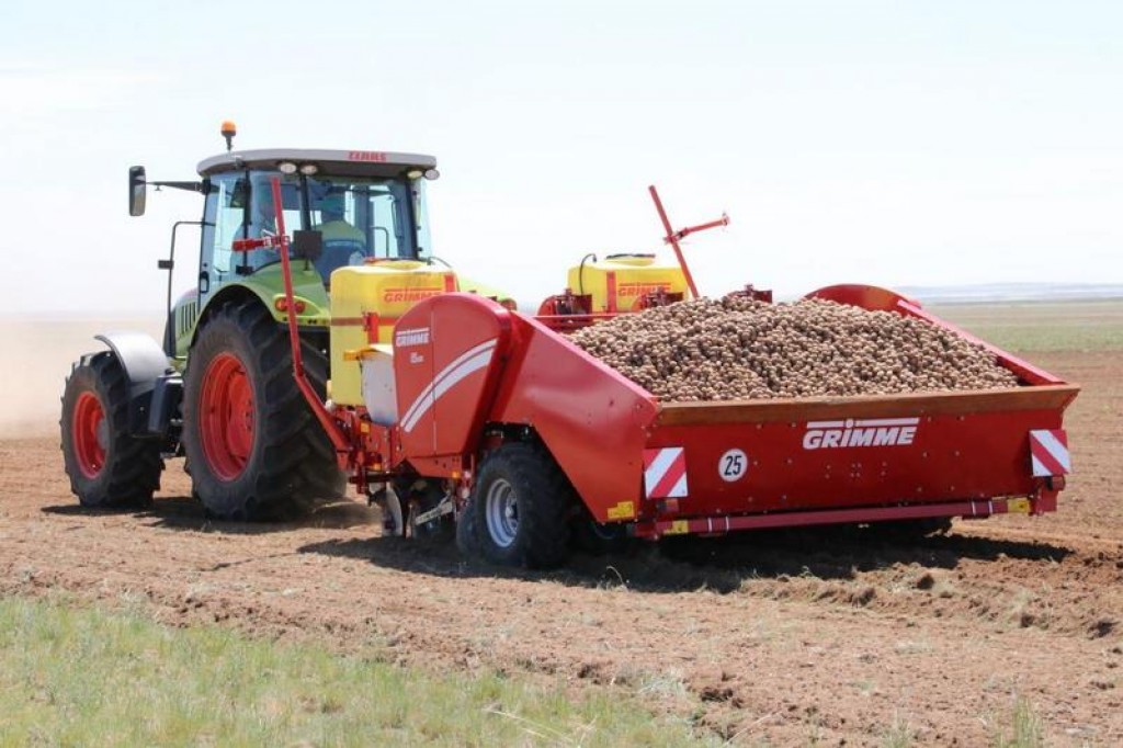 В этом году в Карагандинской области увеличат посевы картофеля