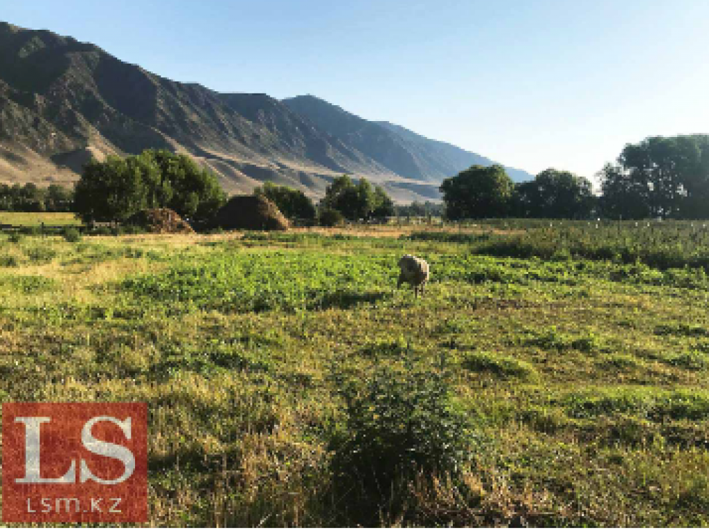 Появится ли в Карагандинской области мегаферма