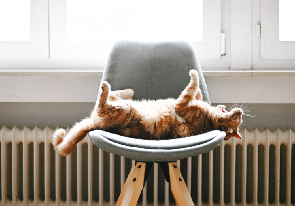 Изменится ли работа карагандинских ТЭЦ из-за потепления