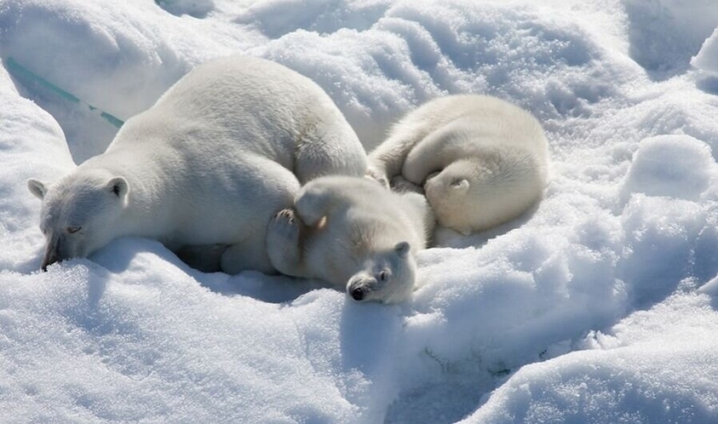Арктика в Карагандинской области: жителей предупреждают о понижении температуры до -38