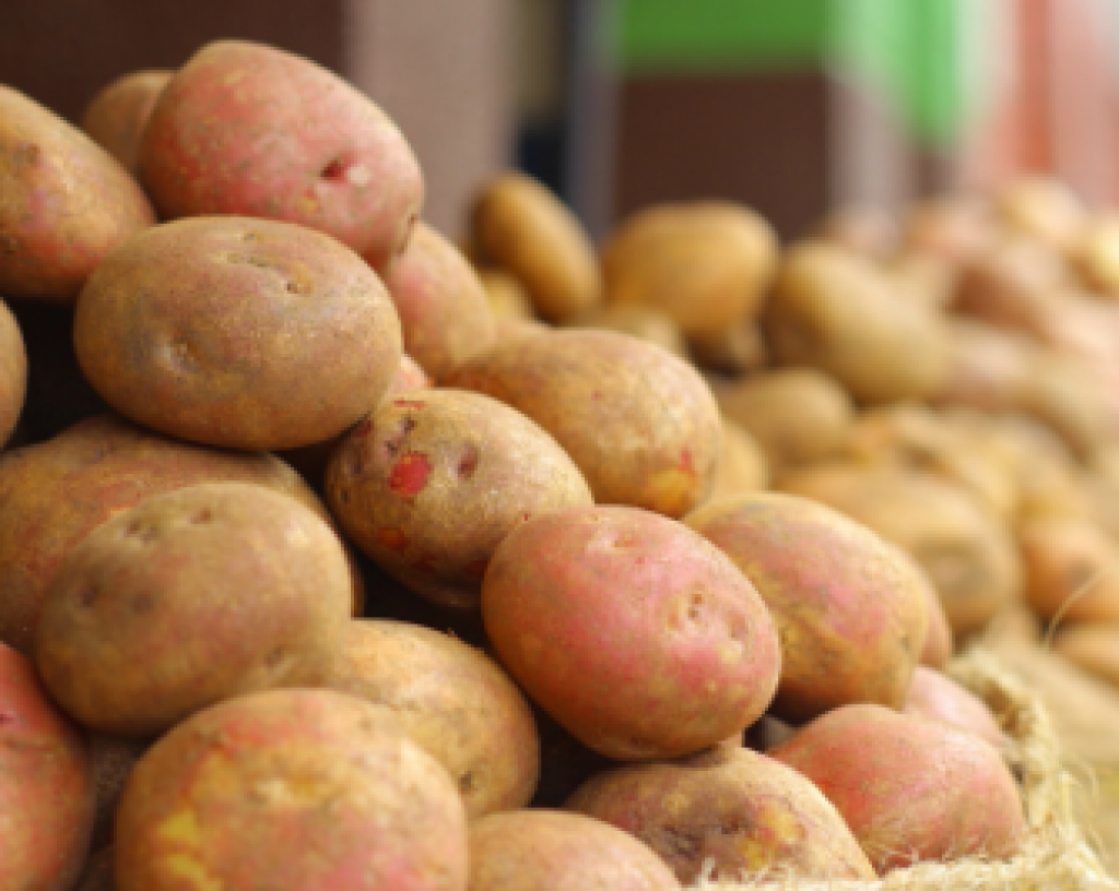 Любые попытки спекуляции будут жестко пресекаться — Ермаганбет Булекпаев о ценах на картофель