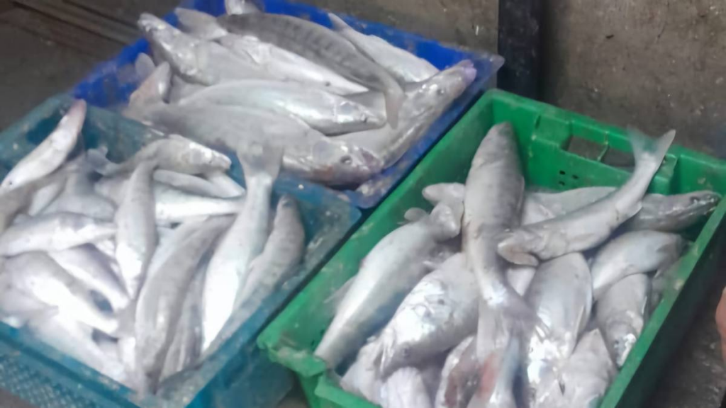 Сотрудники полиции пресекли незаконный промысел на озере Балхаш