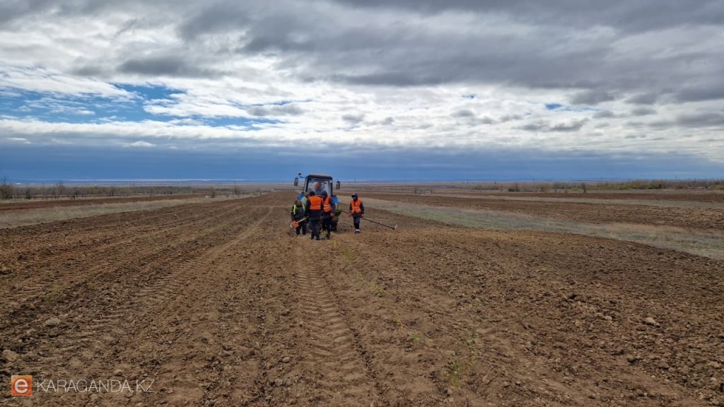 Минсельхоз Казахстана выделил квоту на тысячу мигрантов для строительства в сёлах