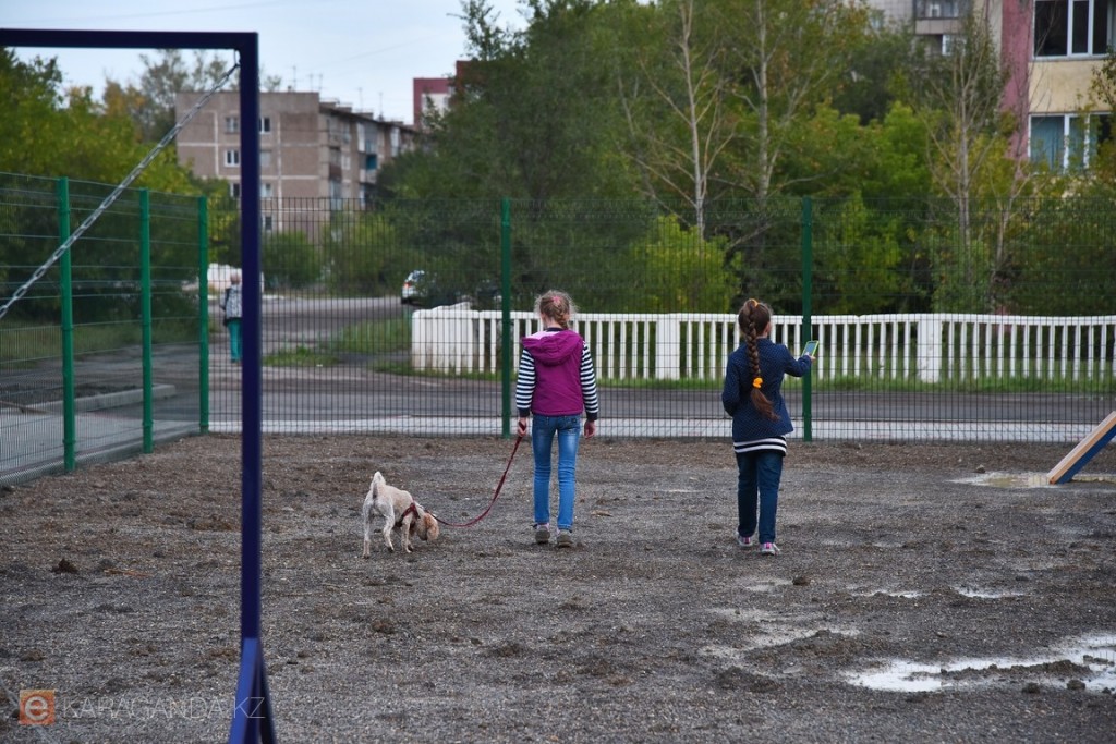 Когда в Караганде построят новые площадки для выгула животных?
