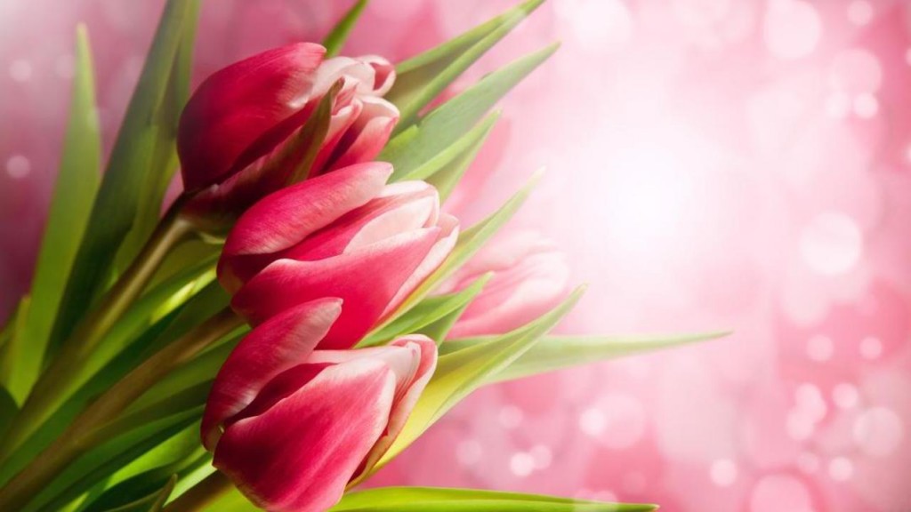 Как поздравят женщин с 8 Марта в Карагандинской области