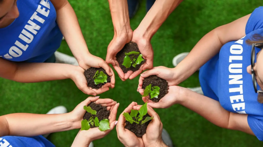 Приём заявок на присуждение международной премии 