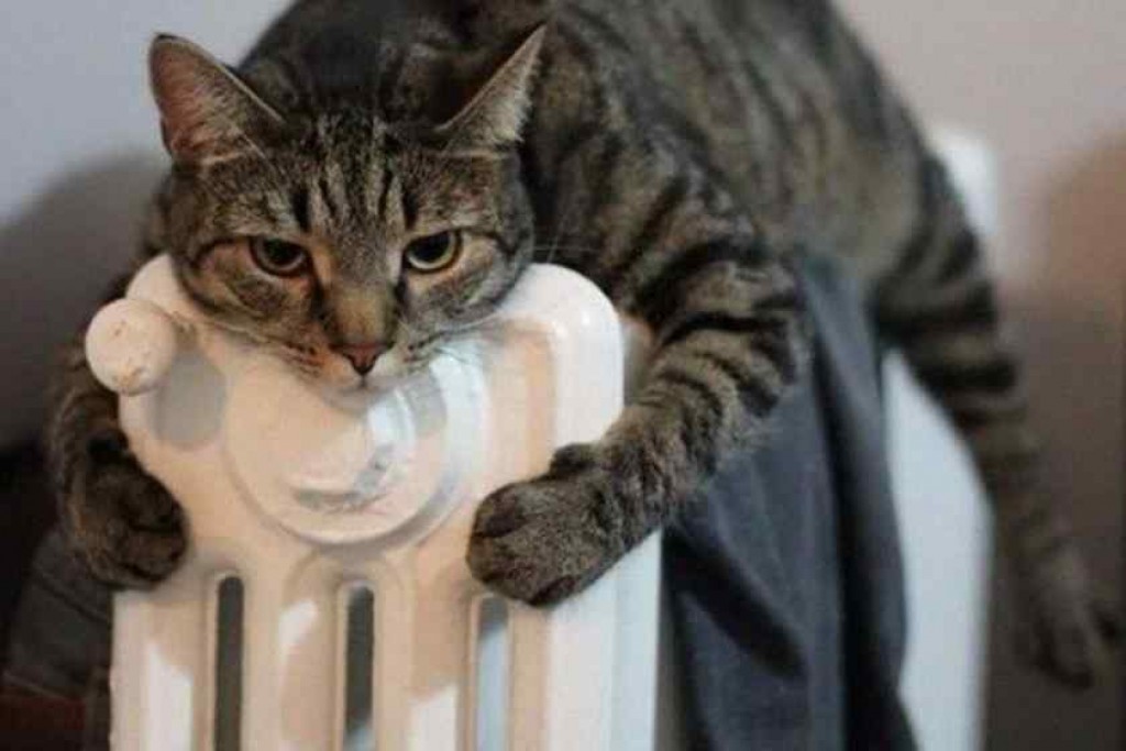 Дадут ли тепло в дома, которые не готовились к отопительному сезону в Караганде?