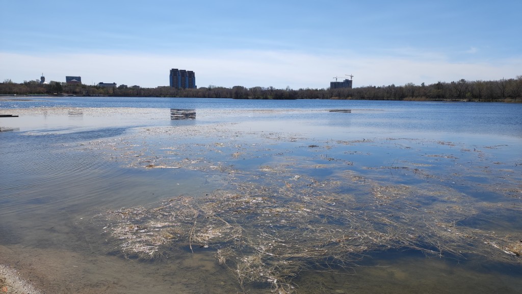«Достопримечательность опять покрылась мхом»: карагандинцы о парковом озере