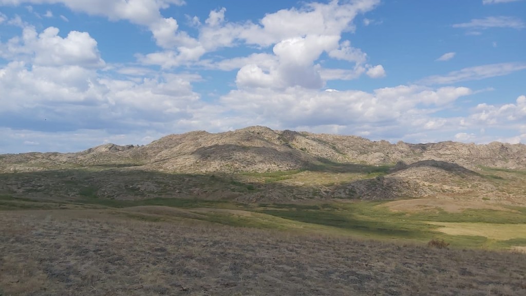 Пожар в Шетском районе Карагандинской области полностью локализован