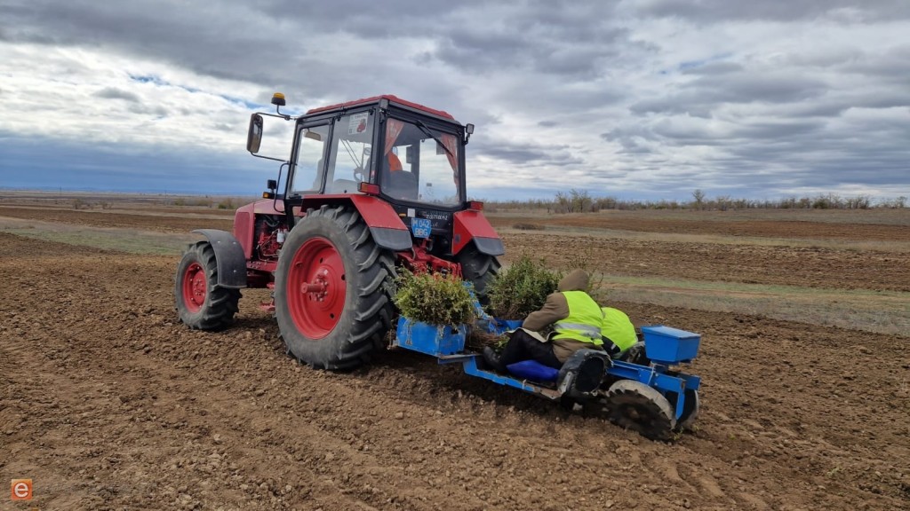 63 тысячи специалистов нужны казахстанскому сельскому хозяйству
