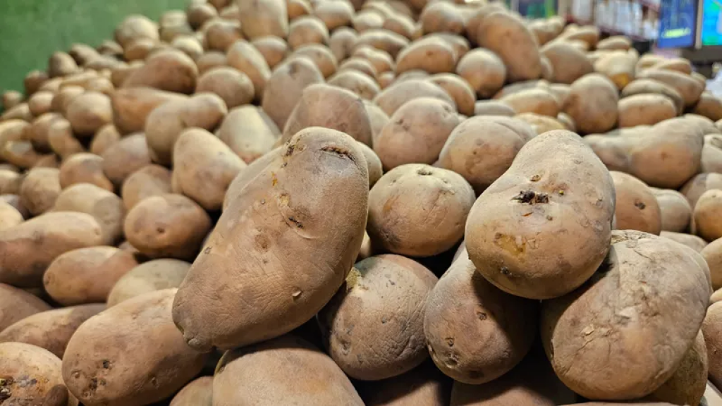 ЕЭК Қазақстанға импортталатын картопты әкелу бажынан босатты