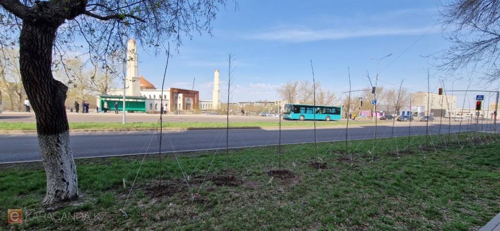 В одном из районов Караганды высадили 200 деревьев