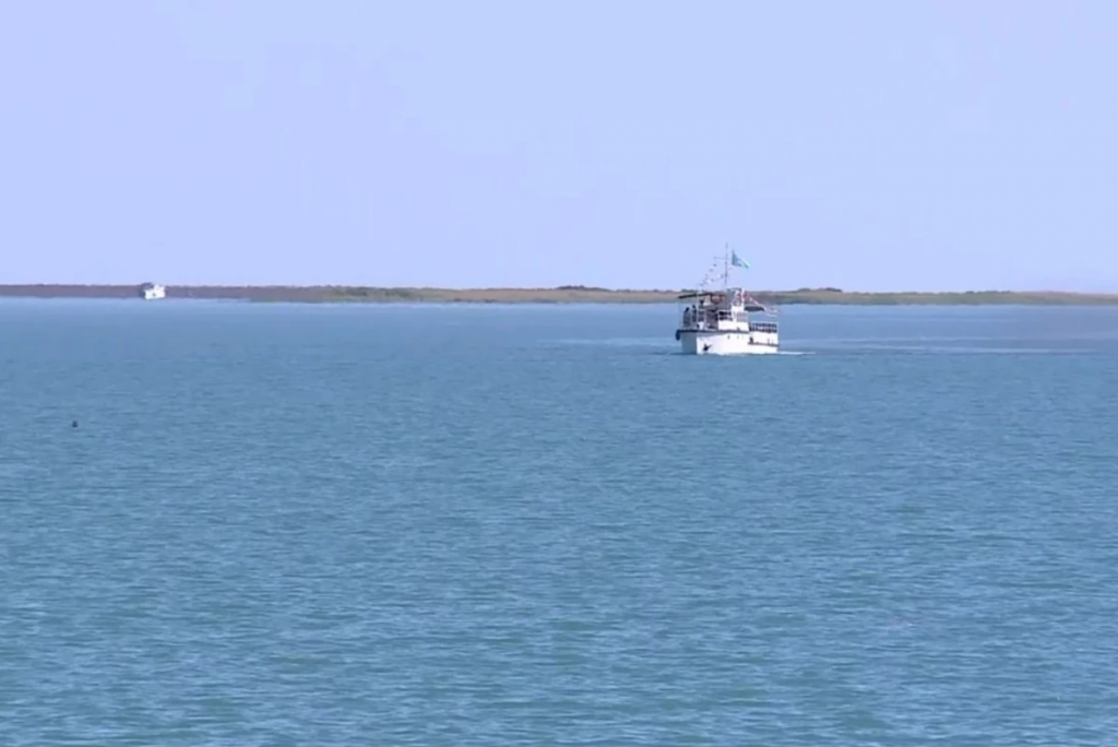 Популяция рыб заметно сократилась в Балхаше